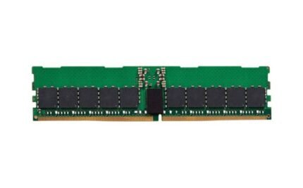 Hynix HMCT14MEERA146N 256GB DDR5 2s4Rx4 PC5-4800B ECC RDIMM Memory Module